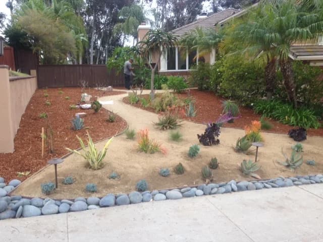 Drought-tolerant landscape installation with native San Diego plants