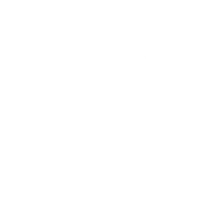 Completed icon