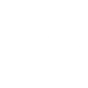 Trowel icon