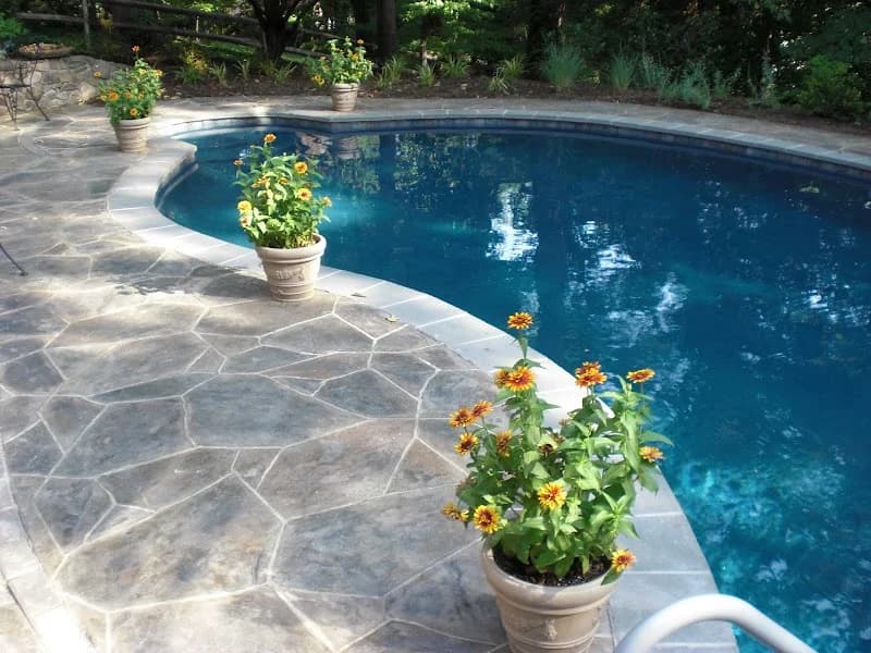 Felinos Concrete portfolio photo