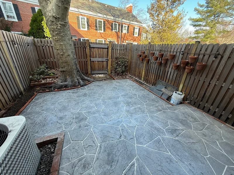 Felinos Concrete portfolio photo