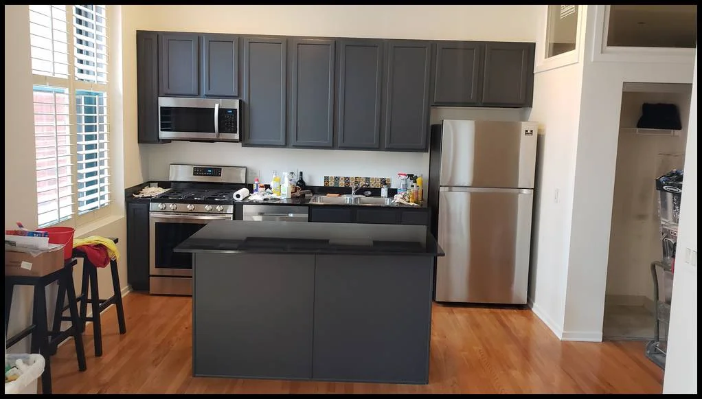 Windy City Painters | Chicago painting contractor portfolio photo