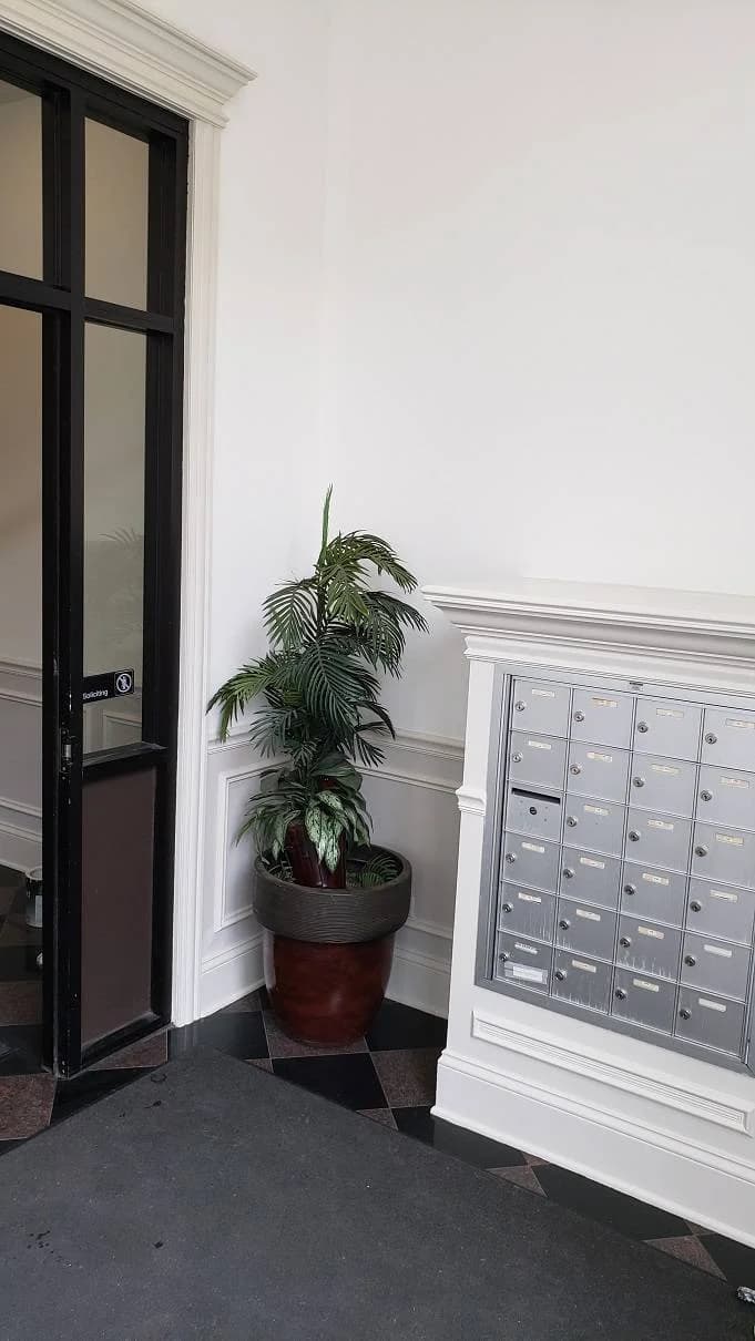 Windy City Painters | Chicago painting contractor portfolio photo