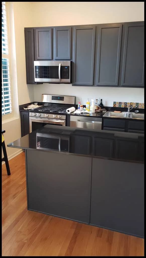 Windy City Painters | Chicago painting contractor portfolio photo