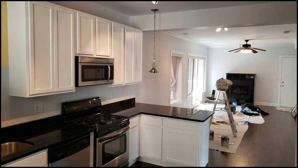 Windy City Painters | Chicago painting contractor portfolio photo