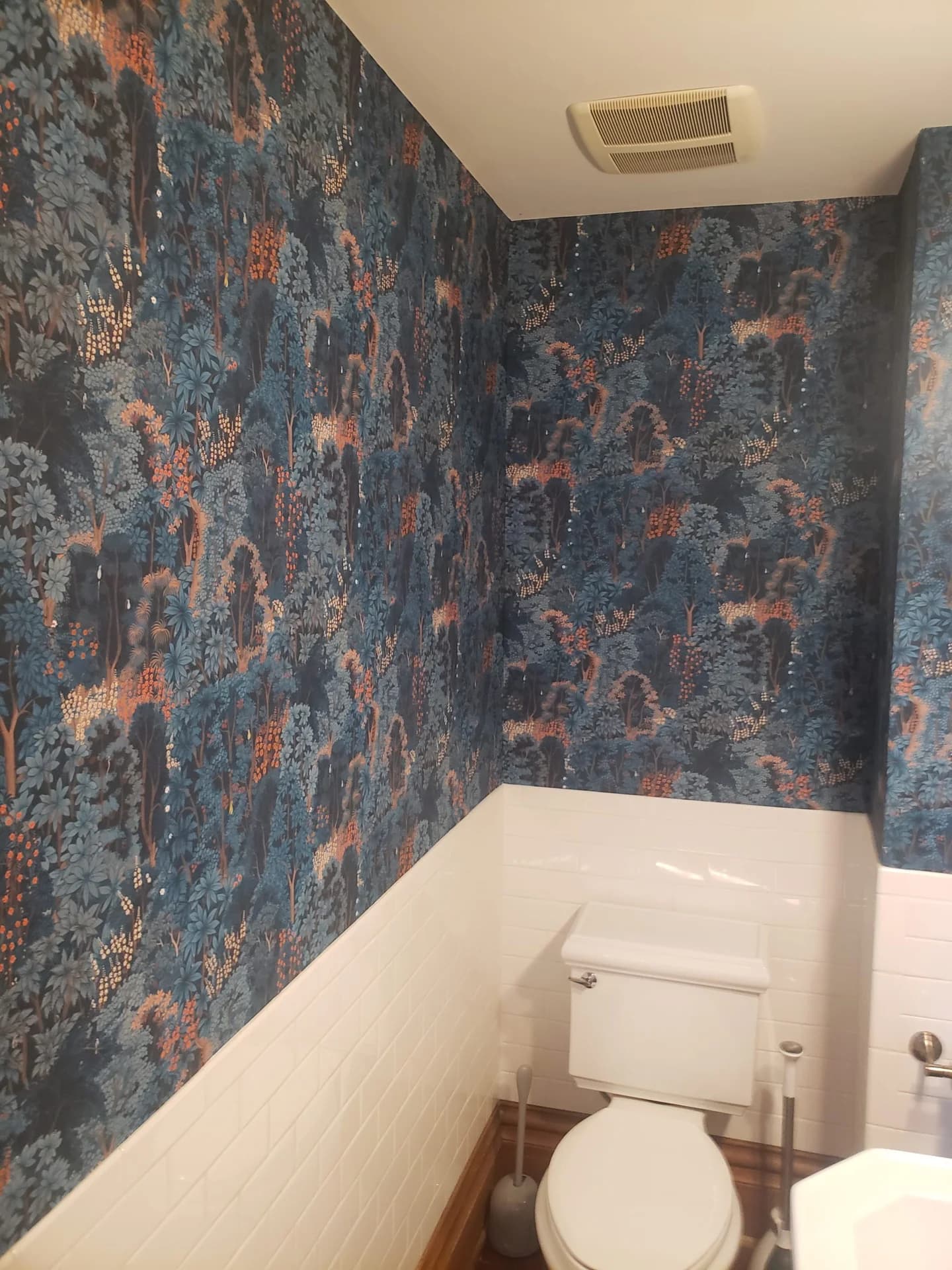 Windy City Painters | Chicago painting contractor portfolio photo