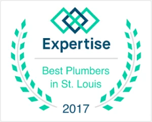 Expertise Best Plumbers 2017 logo