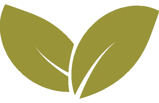 Sustainable Landscape Design Contractor in Los Angeles