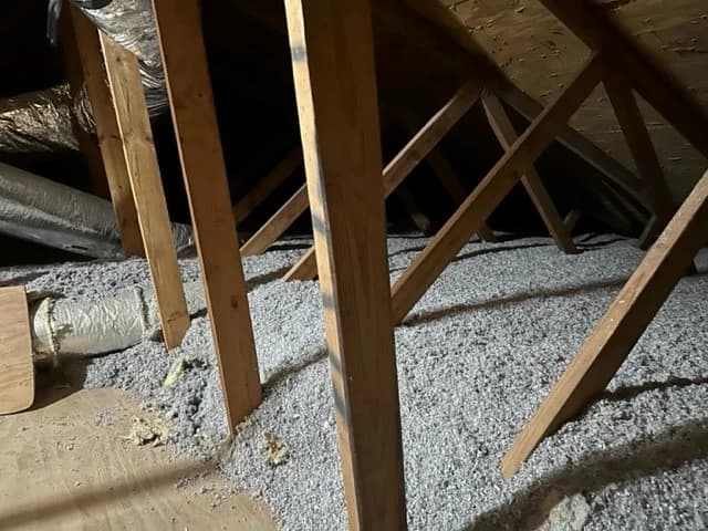 Blown In Celbar Attic