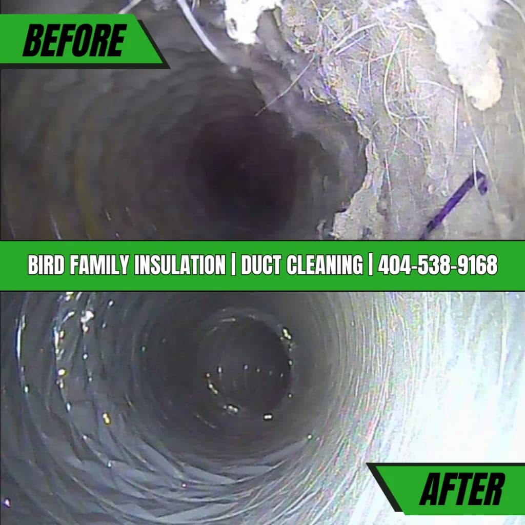 Bird Family Insulation portfolio photo