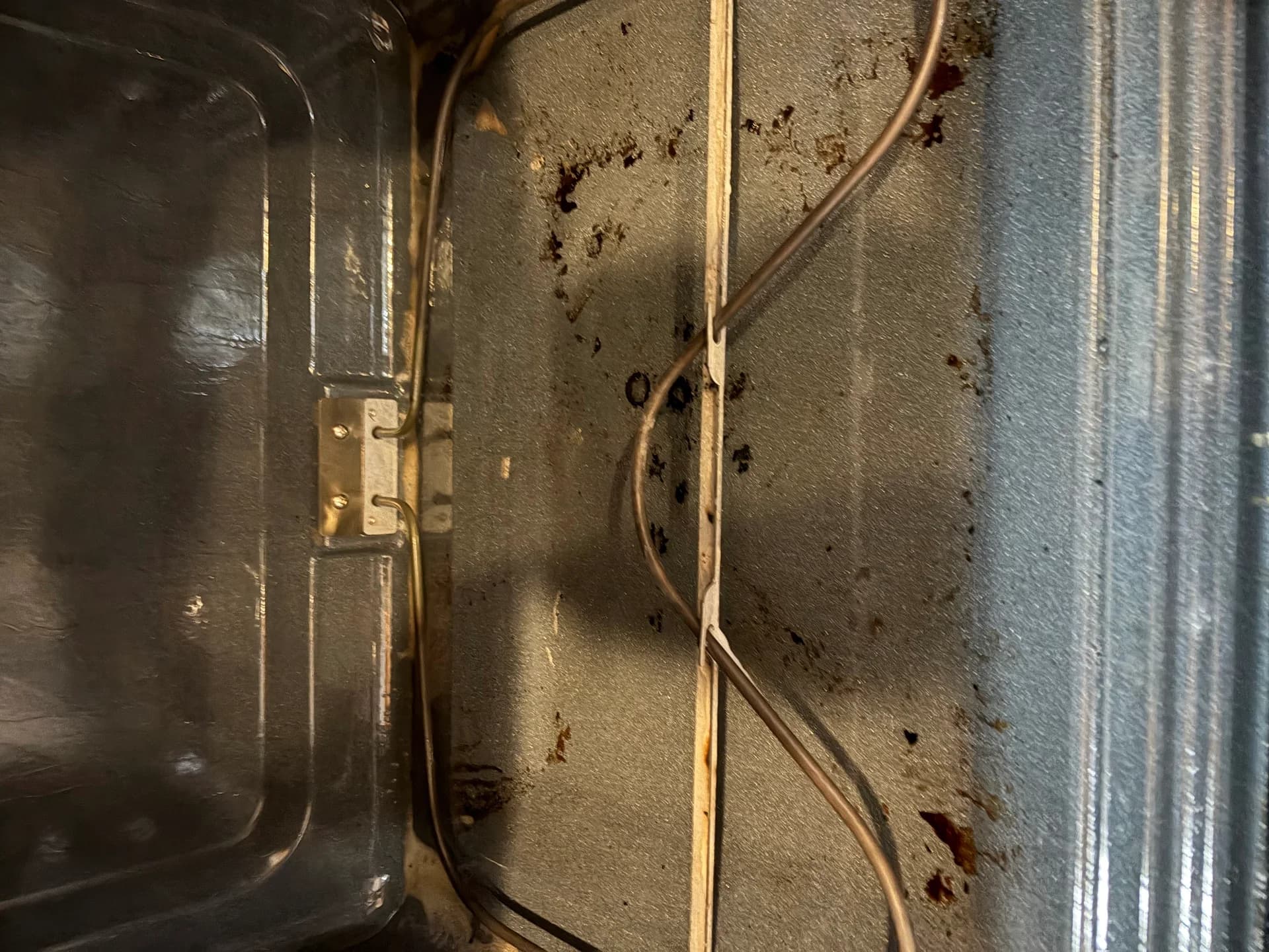 Bee Bee Cleaning Services portfolio photo