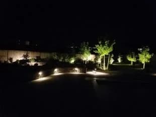 Hammond Back yard - night lighting
