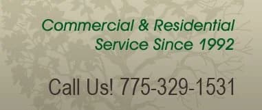 All Seasons Lawn & Landscaping portfolio photo