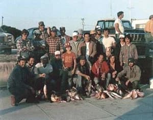 Giles Electric Company portfolio photo