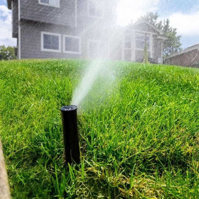 Irrigation system turned on in a residential backyard