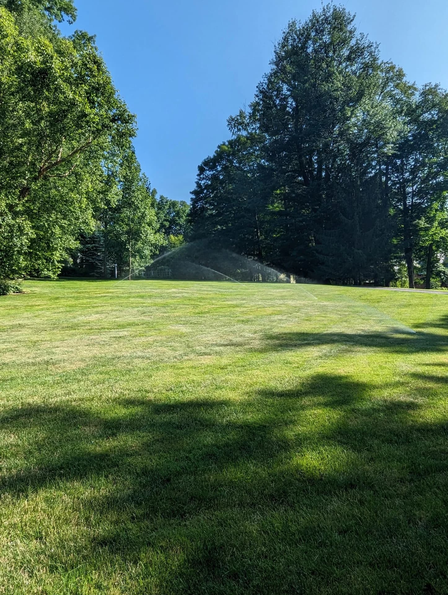 Buffa-Lawn portfolio photo