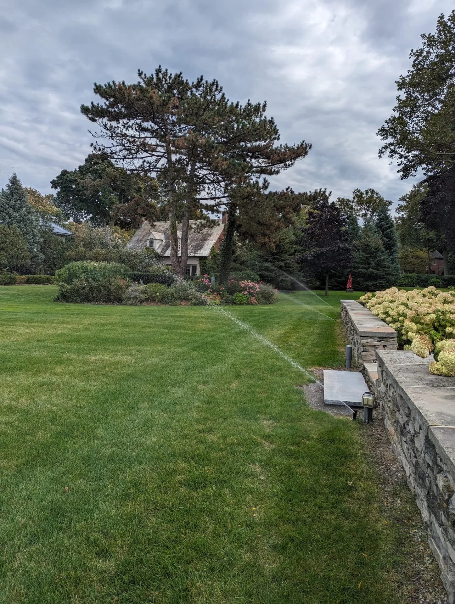 Buffa-Lawn portfolio photo