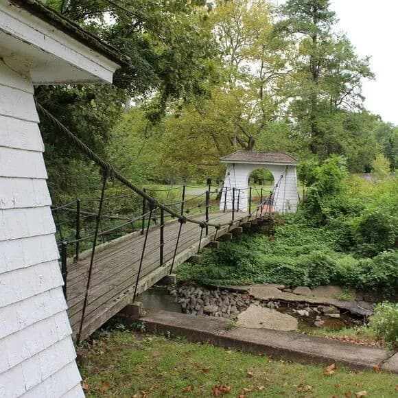 Trenton portfolio photo