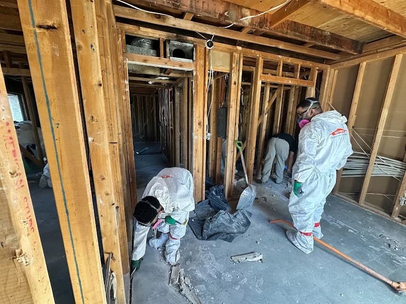 Servpro of NE Salt Lake City/Park City portfolio photo