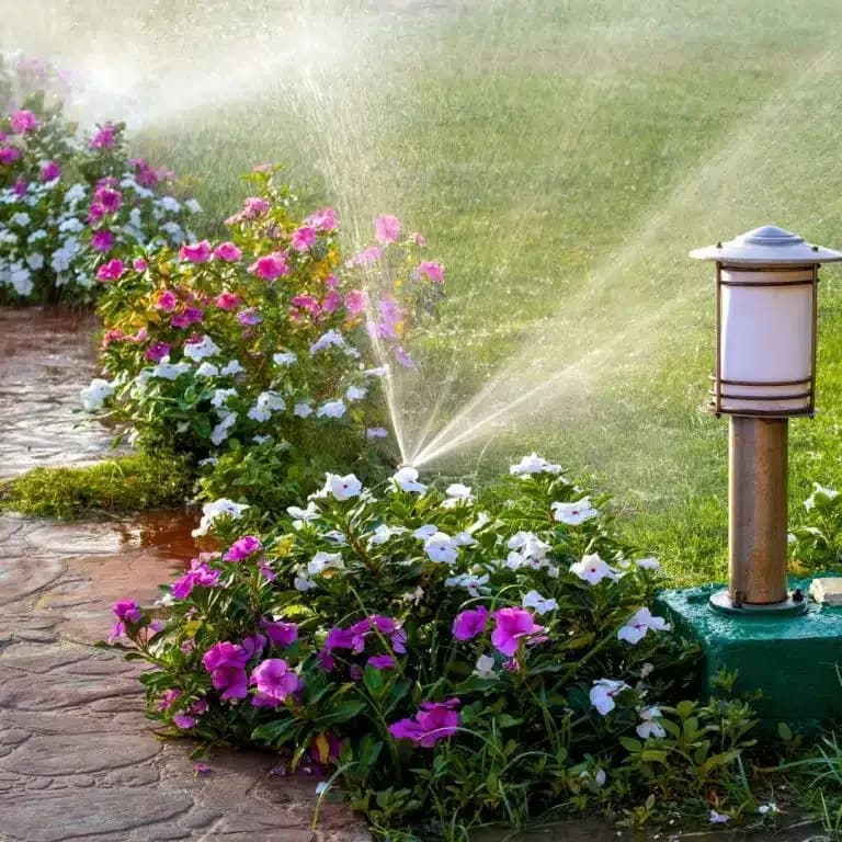 Minnesota Irrigation portfolio photo