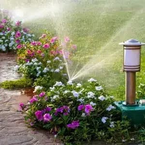 Minnesota Irrigation portfolio photo
