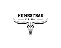 Homestead Electric portfolio photo