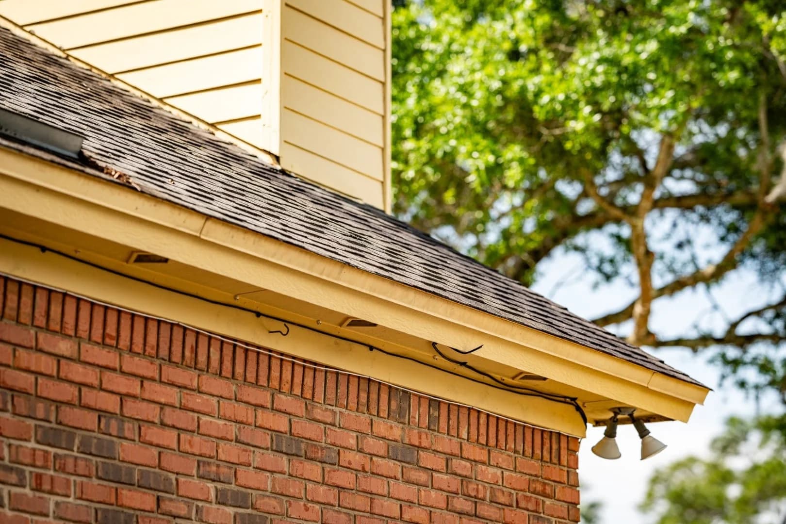 Surface CPR professional roof cleaning Jacksonville