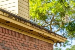 Roof soft washing service Jacksonville FL