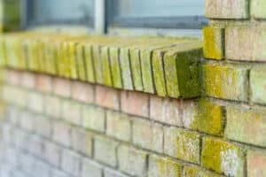 Soft washing brick mold from exterior walls