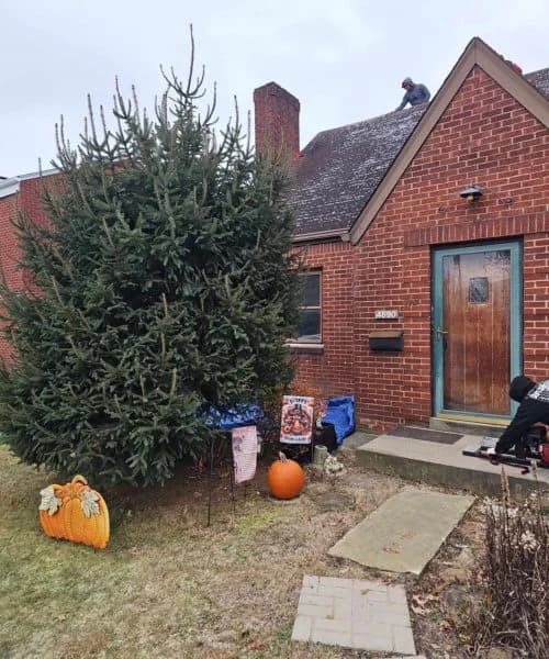 Residential roofing service in progress on a brick house, featuring a worker on the roof, a large evergreen tree, seasonal decorations, and a pumpkin in the front yard.