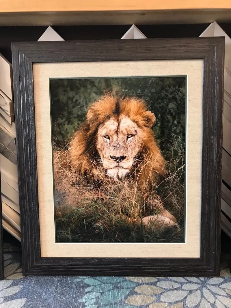 Peak Framing Inc portfolio photo