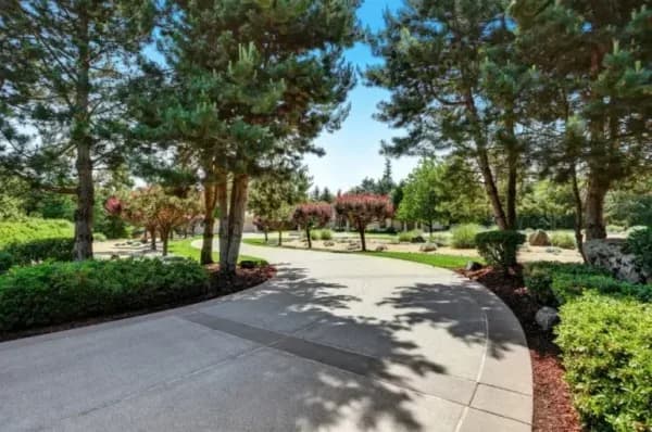 Long and wide concrete driveway in Port Orange, Fl. Lined by trees