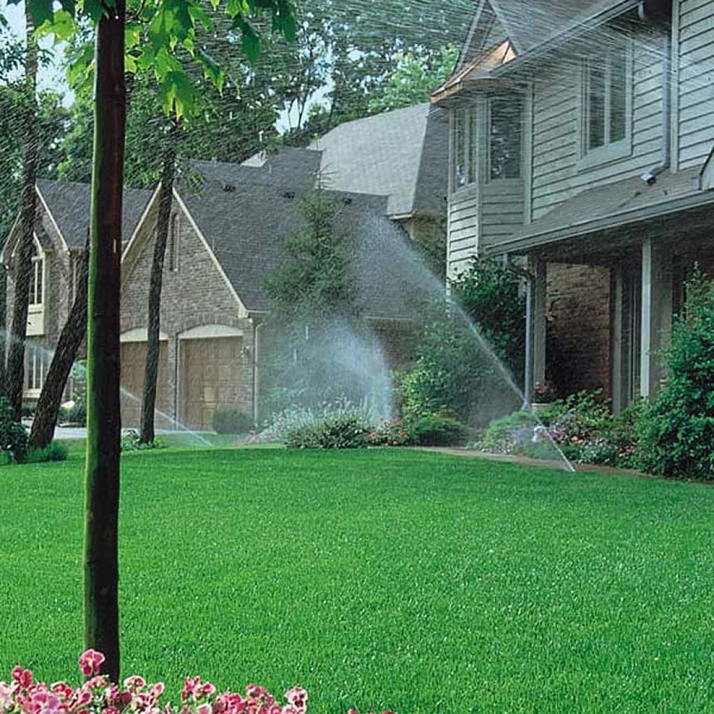 Schelsky's Landscape & Irrigation – Experienced landscapers servicing and creating landscapes in Eugene Oregon and surrounding areas.ress Blog portfolio photo