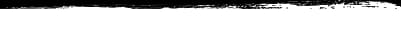 Footer Top Border