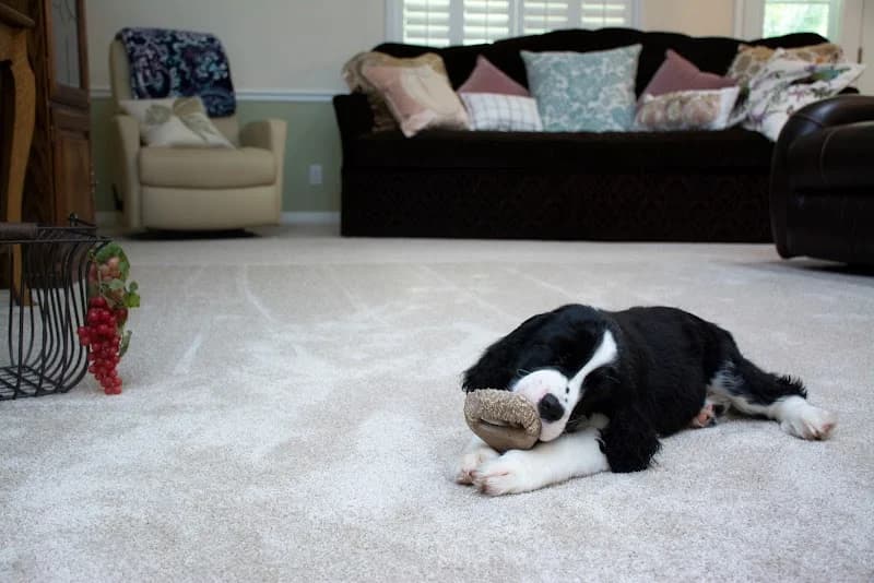 St George Flooring portfolio photo