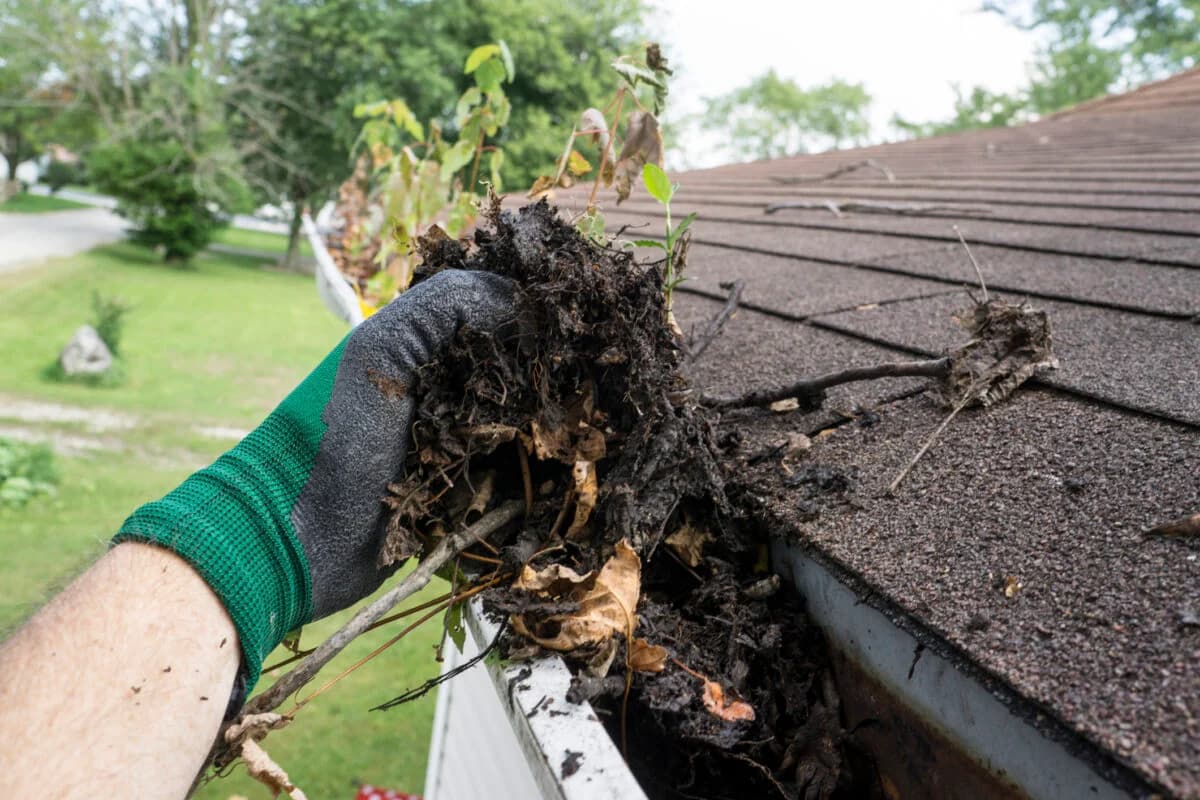 SLC Gutter Crew portfolio photo