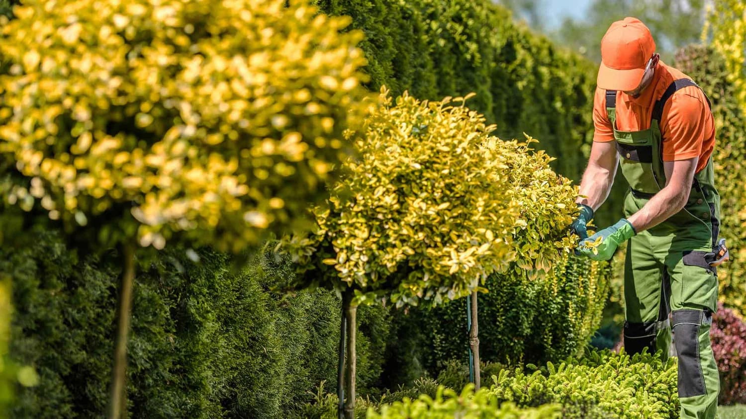 ATR Landscaping Services, LLC portfolio photo