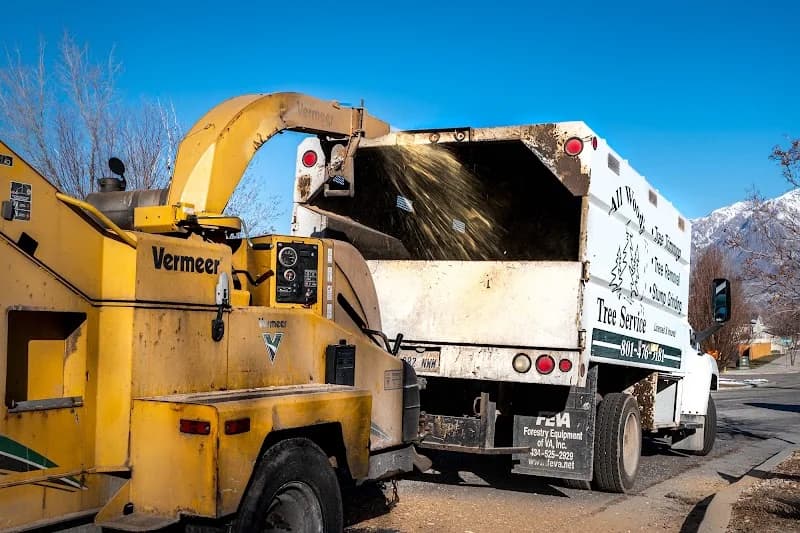 All Woods Tree Service portfolio photo