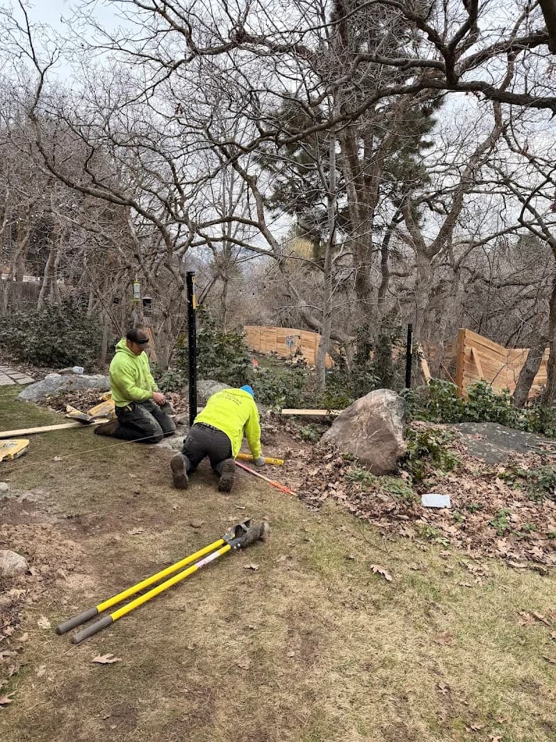 All Woods Tree Service portfolio photo