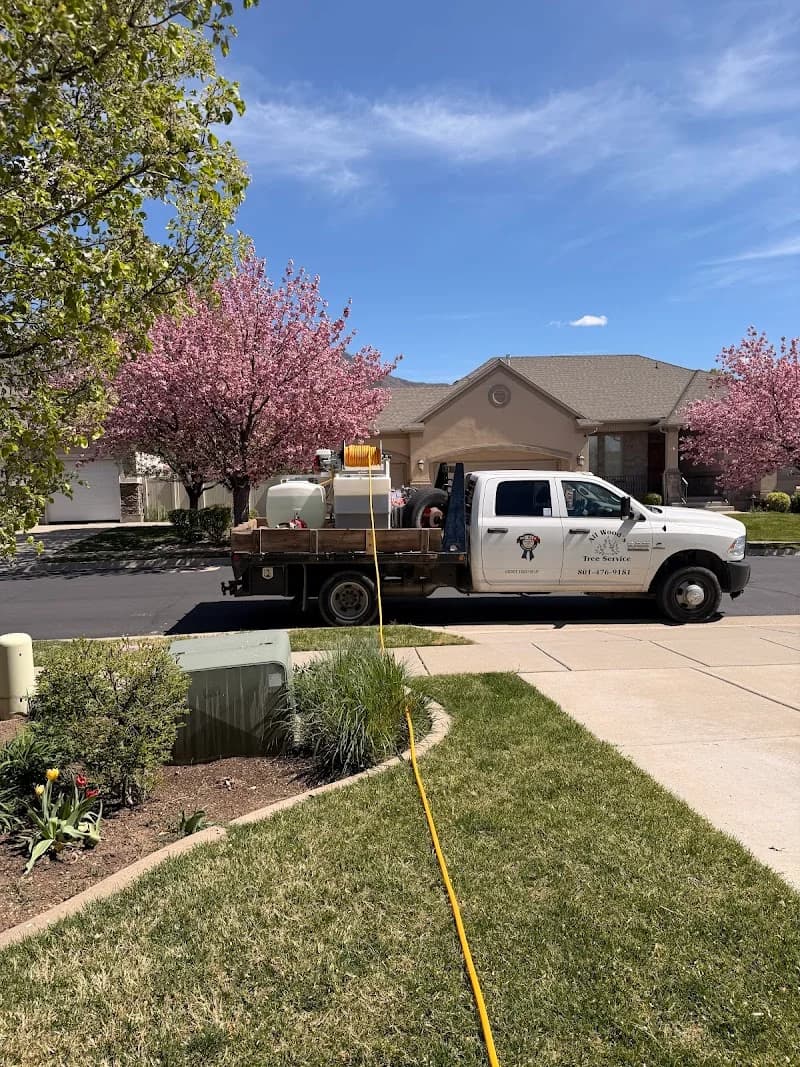 All Woods Tree Service portfolio photo