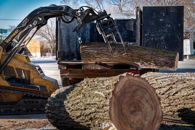 All Woods Tree Service portfolio photo