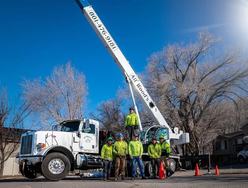 All Woods Tree Service portfolio photo