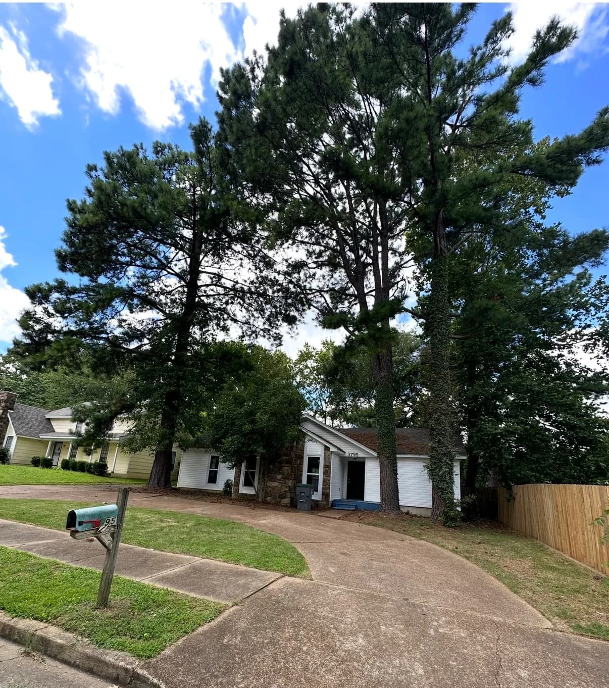 Expert tree removal in Memphis, Tn. Thumbnail