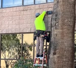 Your Trusted Electrician in Tucson, AZ