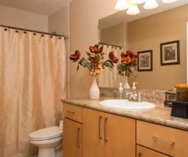 Cleaning Services