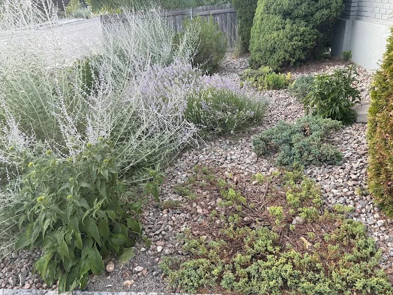 Premier Irrigation portfolio photo
