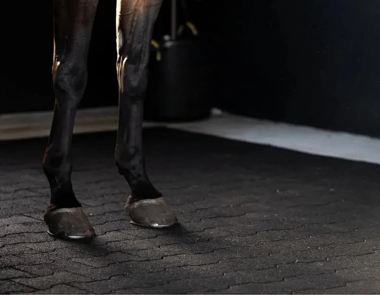 EQUINE FLOORING