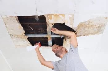 Water Damange Repair