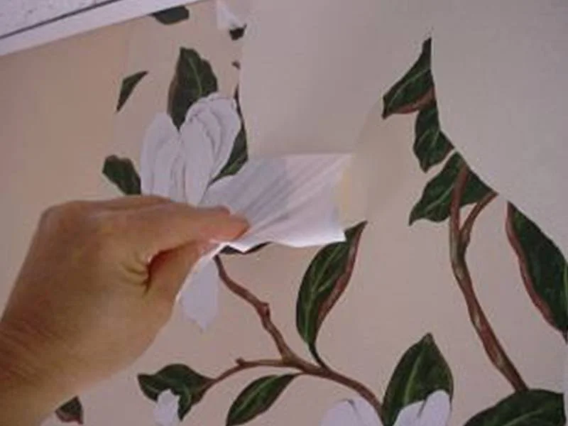 wallpaper removal