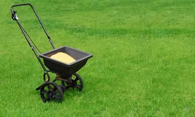 Lawn Care Treatments and Fertilizing.